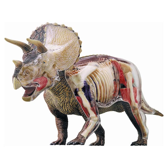 4d Master 4d Vision Triceratops Anatomy Model Puzzle, One Size, Multi
